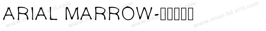 ARIAL MARROW字体转换